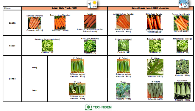 bf1_variety-calendar-carotte-laitue-gombo