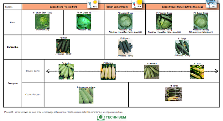 bf1_variety-calendar-chou-cocombre-couguette