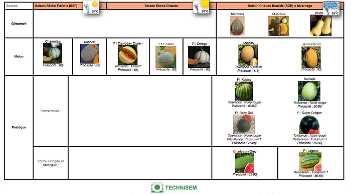 bf1_variety-calendar-melon-pasteque-giraumon