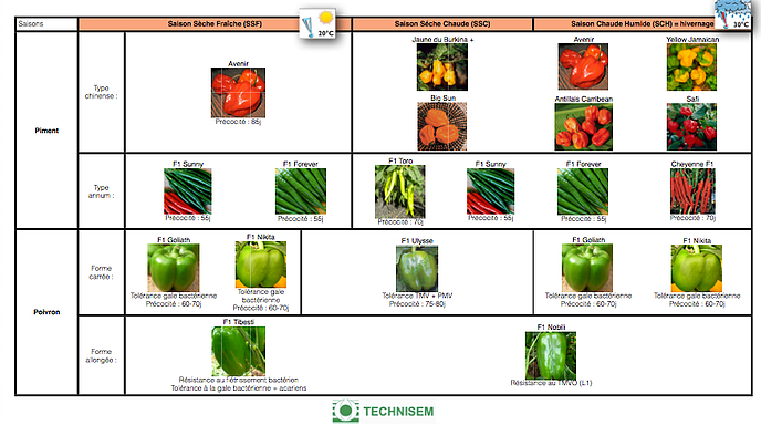 bf1_variety-calendar-piment-poivron
