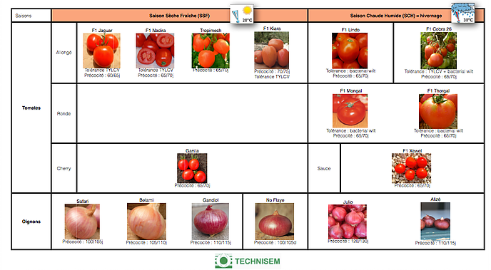 bf1_variety-calendar-tomato-onion